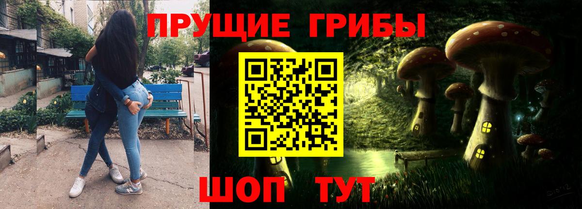 Псилоцибиновые грибы Psilocybe Обнинск